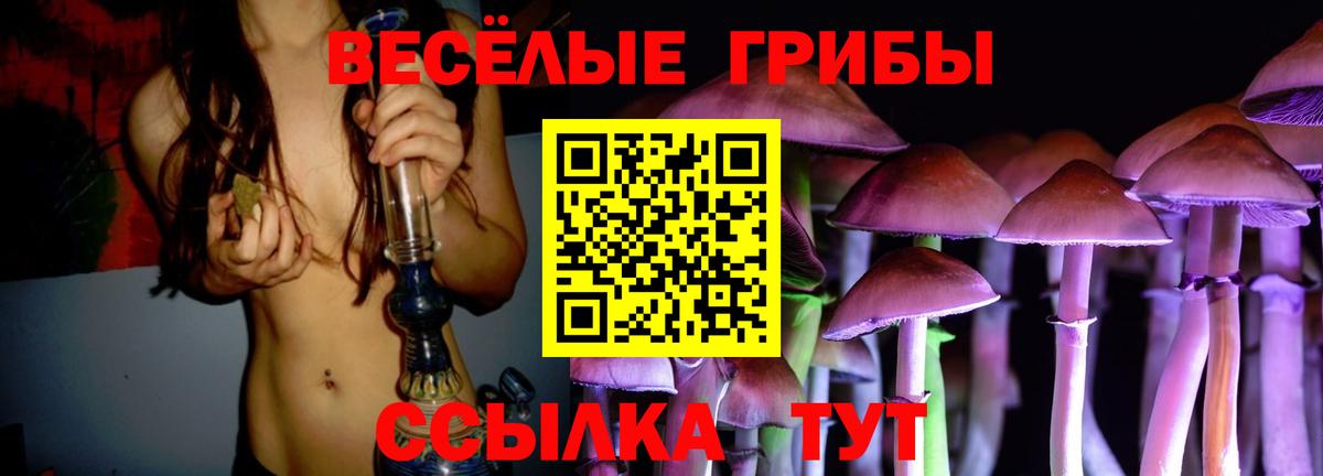 Галлюциногенные грибы мухоморы  Галлюциногенные грибы MAGIC MUSHROOMS  Вход с VPN  Лыткарино 